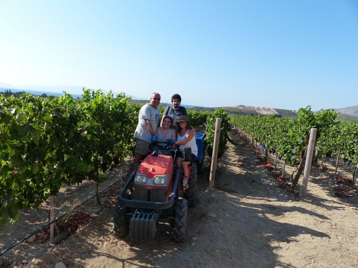 Datca Vineyard Guesthouse 外观 照片