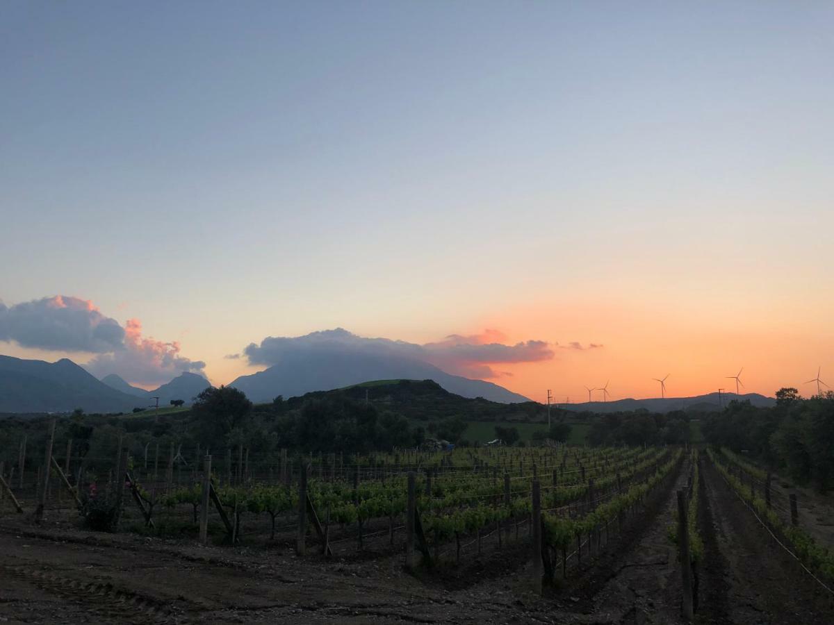 Datca Vineyard Guesthouse 外观 照片